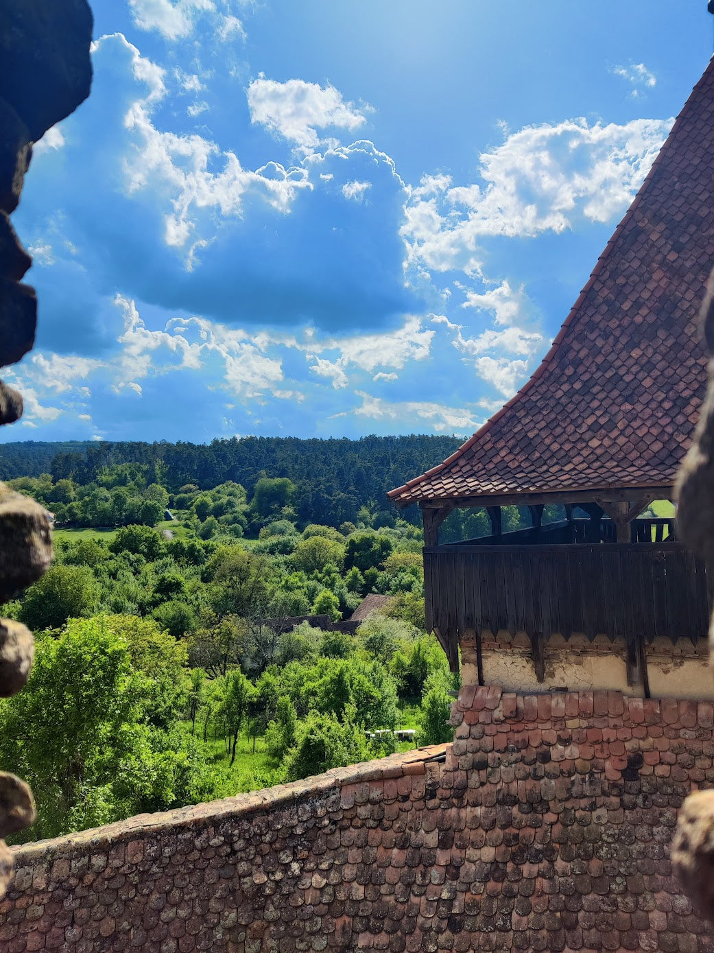 Look through the window of time